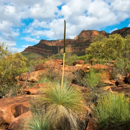 adelaide to uluru package