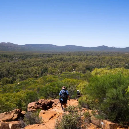 adelaide to ayers rock tour