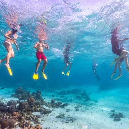 coral bay snorkelling tours