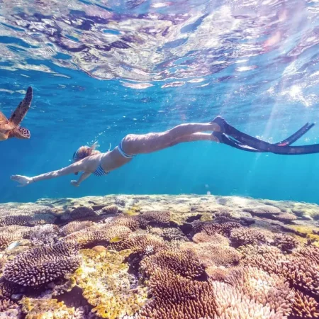 coral bay tours
