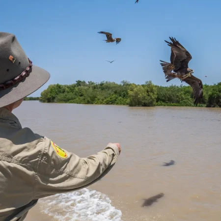 darwin croc tour