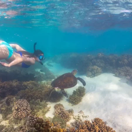 eco tours coral bay