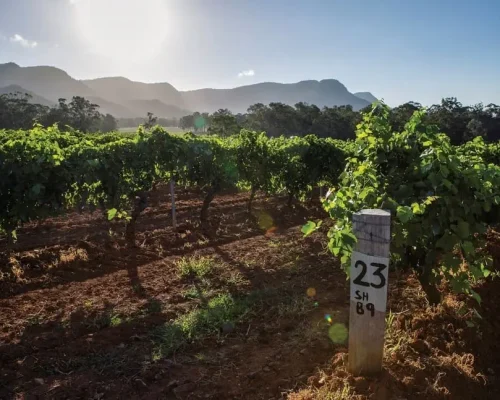 hunter valley wine tasting tour