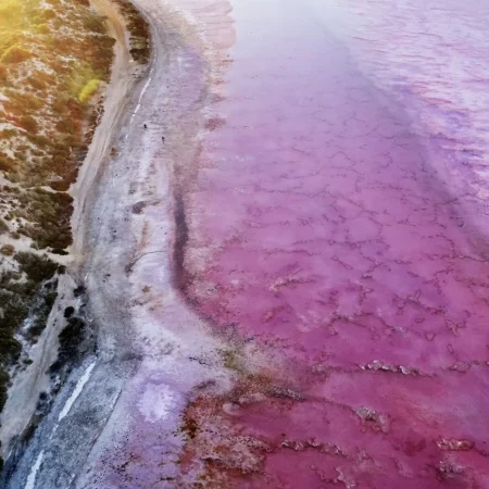 hutt lagoon tour