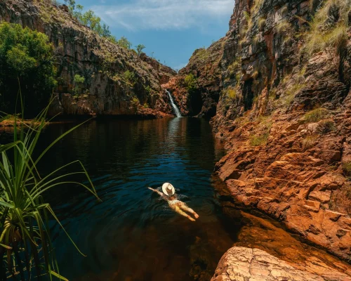 kakadu tours from darwin 1 day