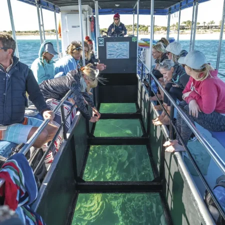 ningaloo reef tours