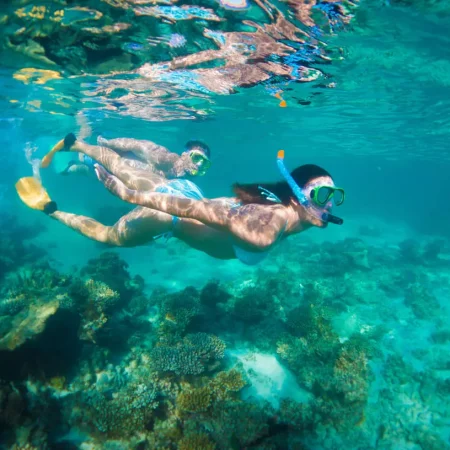 ningaloo whale shark tours