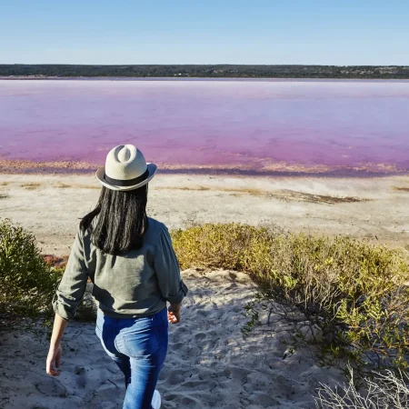 pink lake tours