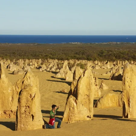 pinnacle desert