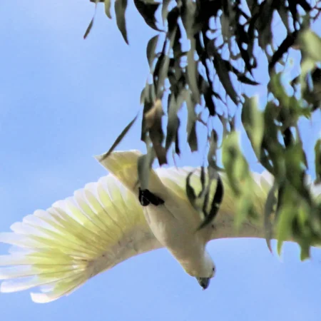 small group tours western australia