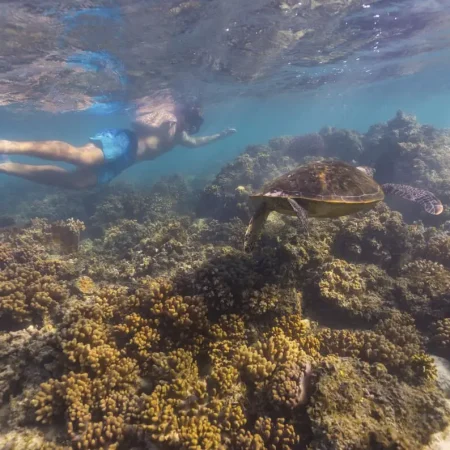 tours in coral bay