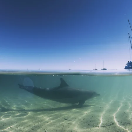 western australia small group tours