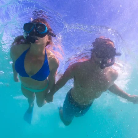 whale shark tour